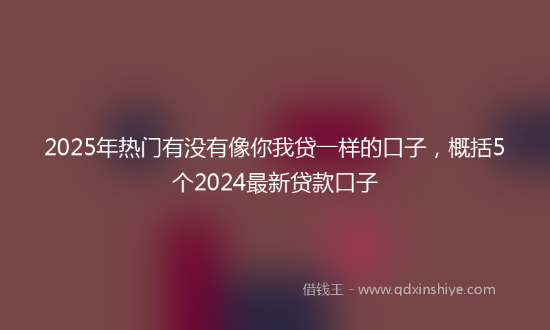2025年热门有没有像你我贷一样的口子，概括5个2024最新贷款口子