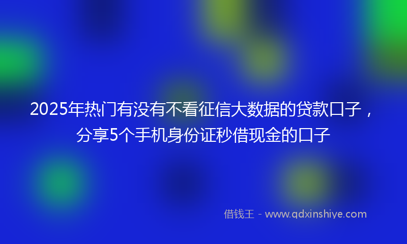 2025年热门有没有不看征信大数据的贷款口子，分享5个手机身份证秒借现金的口子