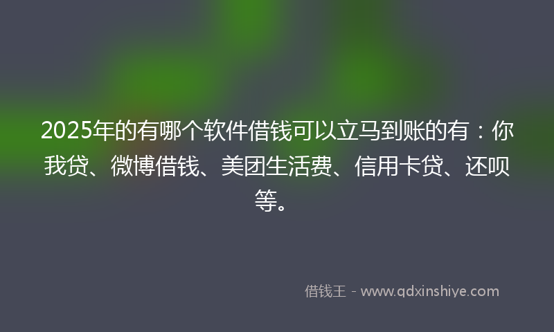 2025年的有哪个软件借钱可以立马到账的有：你我贷、微博借钱、美团生活费、信用卡贷、还呗等。