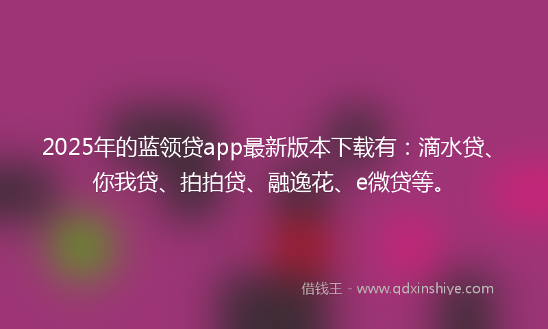 2025年的蓝领贷app最新版本下载有：滴水贷、你我贷、拍拍贷、融逸花、e微贷等。