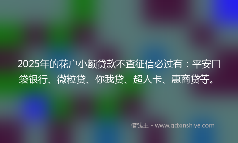 2025年的花户小额贷款不查征信必过有：平安口袋银行、微粒贷、你我贷、超人卡、惠商贷等。
