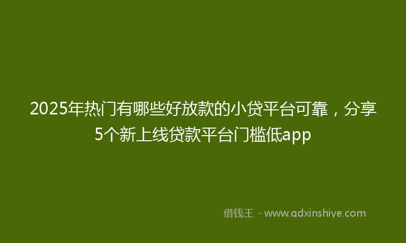 2025年热门有哪些好放款的小贷平台可靠，分享5个新上线贷款平台门槛低app