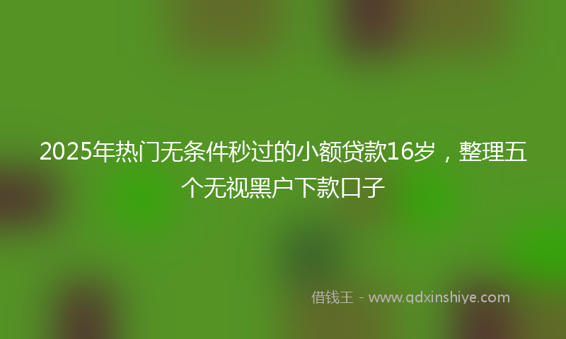 2025年热门无条件秒过的小额贷款16岁，整理五个无视黑户下款口子