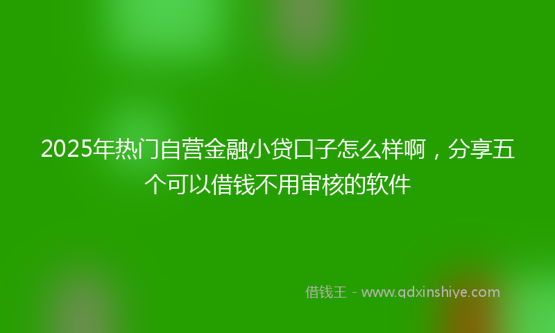2025年热门自营金融小贷口子怎么样啊，分享五个可以借钱不用审核的软件