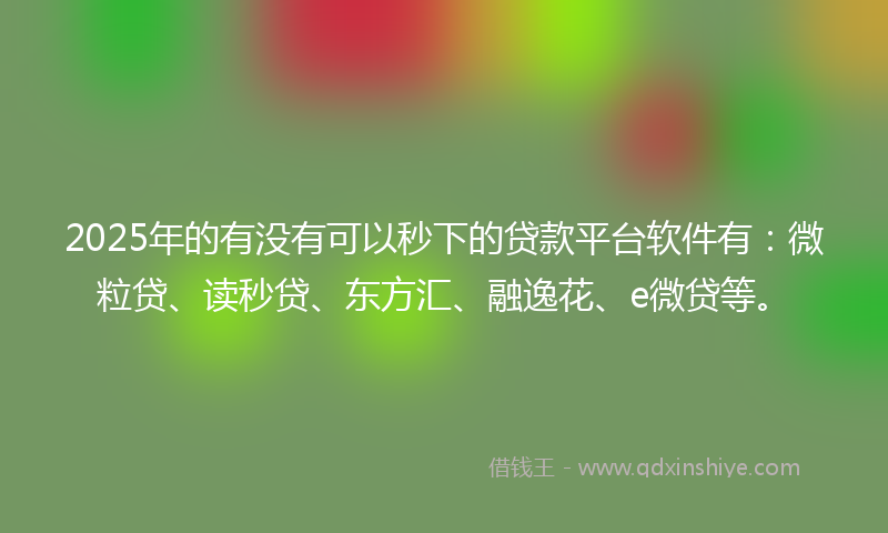2025年的有没有可以秒下的贷款平台软件有：微粒贷、读秒贷、东方汇、融逸花、e微贷等。
