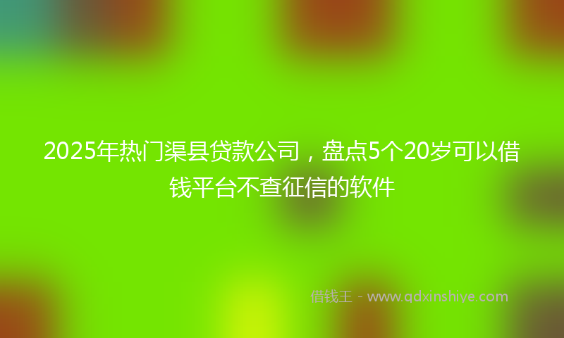 2025年热门渠县贷款公司，盘点5个20岁可以借钱平台不查征信的软件