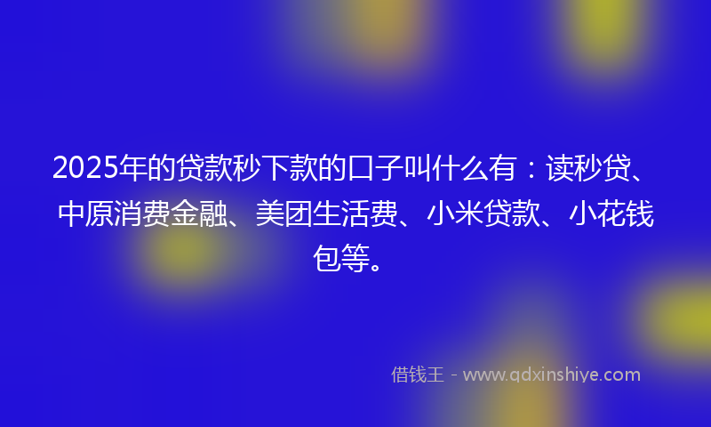 2025年的贷款秒下款的口子叫什么有：读秒贷、中原消费金融、美团生活费、小米贷款、小花钱包等。