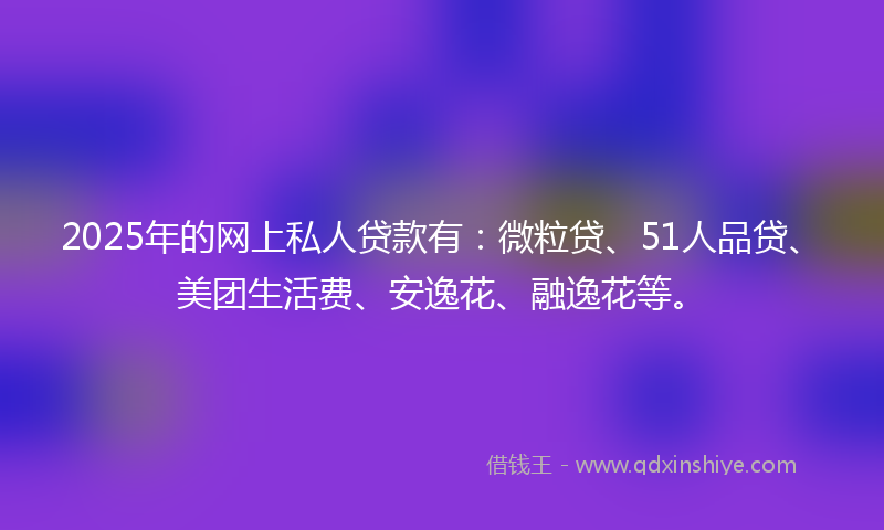 2025年的网上私人贷款有：微粒贷、51人品贷、美团生活费、安逸花、融逸花等。