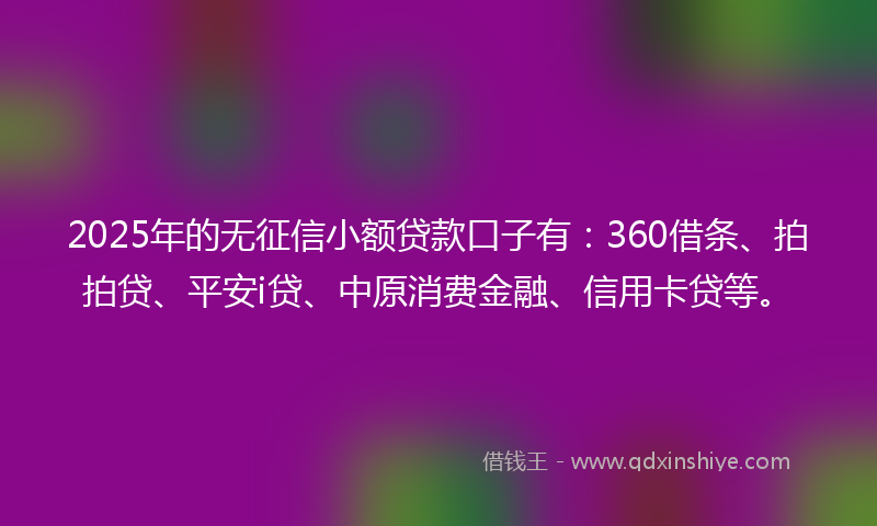 2025年的无征信小额贷款口子有：360借条、拍拍贷、平安i贷、中原消费金融、信用卡贷等。