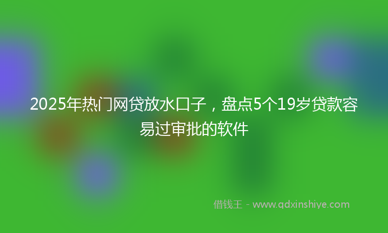 2025年热门网贷放水口子，盘点5个19岁贷款容易过审批的软件