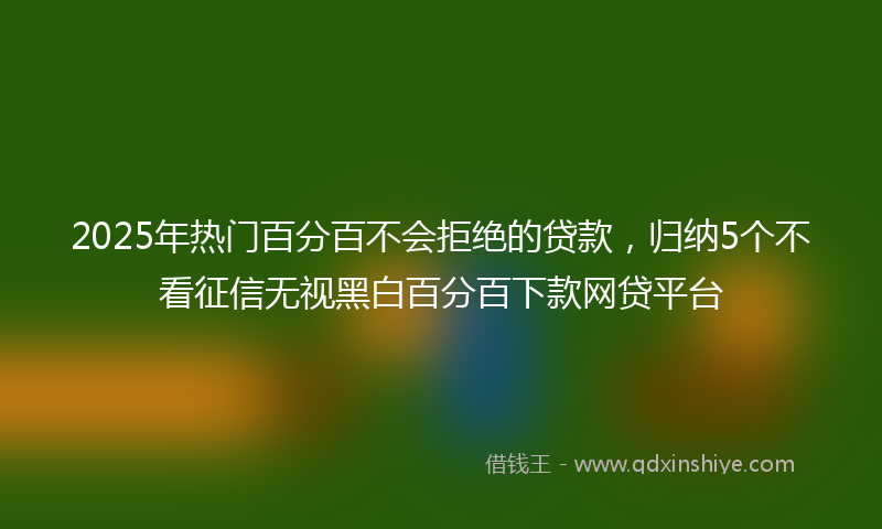 2025年热门百分百不会拒绝的贷款，归纳5个不看征信无视黑白百分百下款网贷平台