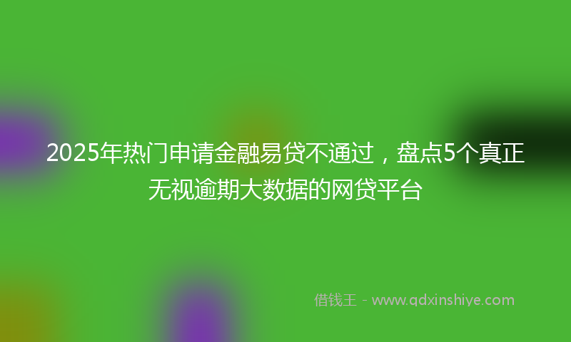 2025年热门申请金融易贷不通过，盘点5个真正无视逾期大数据的网贷平台