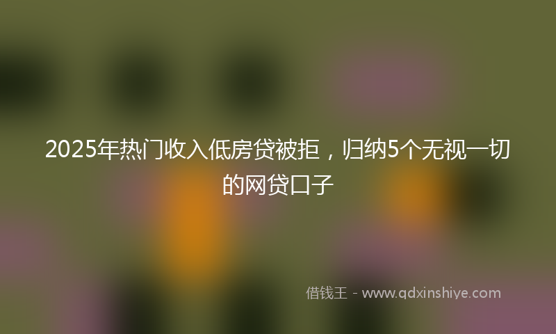 2025年热门收入低房贷被拒，归纳5个无视一切的网贷口子