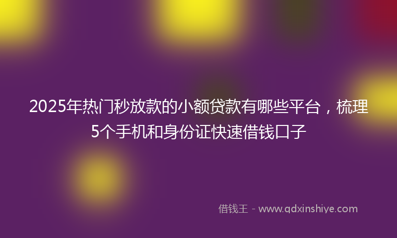 2025年热门秒放款的小额贷款有哪些平台，梳理5个手机和身份证快速借钱口子