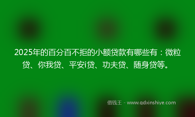 2025年的百分百不拒的小额贷款有哪些有：微粒贷、你我贷、平安i贷、功夫贷、随身贷等。