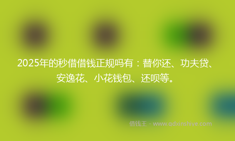 2025年的秒借借钱正规吗有：替你还、功夫贷、安逸花、小花钱包、还呗等。