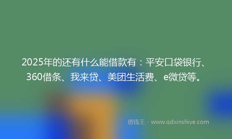 2025年的还有什么能借款有：平安口袋银行、360借条、我来贷、美团生活费、e微贷等。