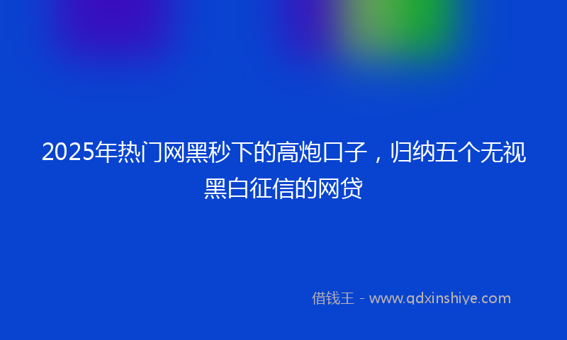 2025年热门网黑秒下的高炮口子，归纳五个无视黑白征信的网贷