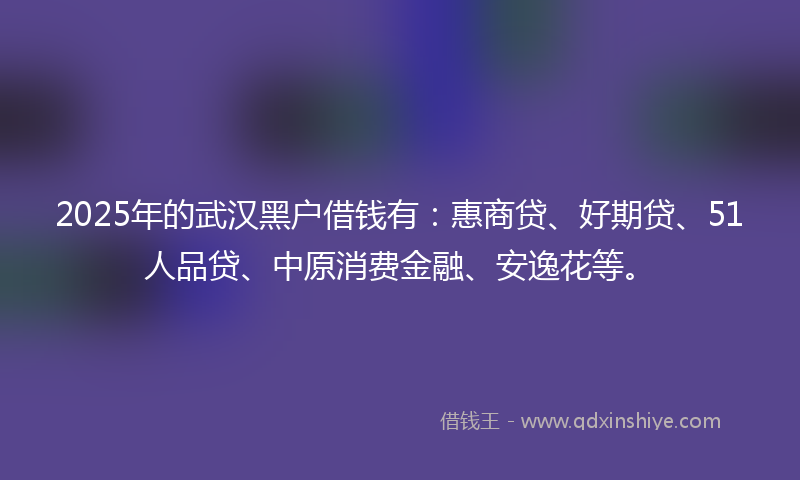 2025年的武汉黑户借钱有：惠商贷、好期贷、51人品贷、中原消费金融、安逸花等。