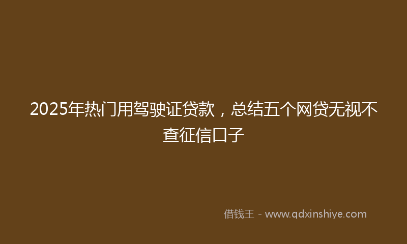 2025年热门用驾驶证贷款，总结五个网贷无视不查征信口子