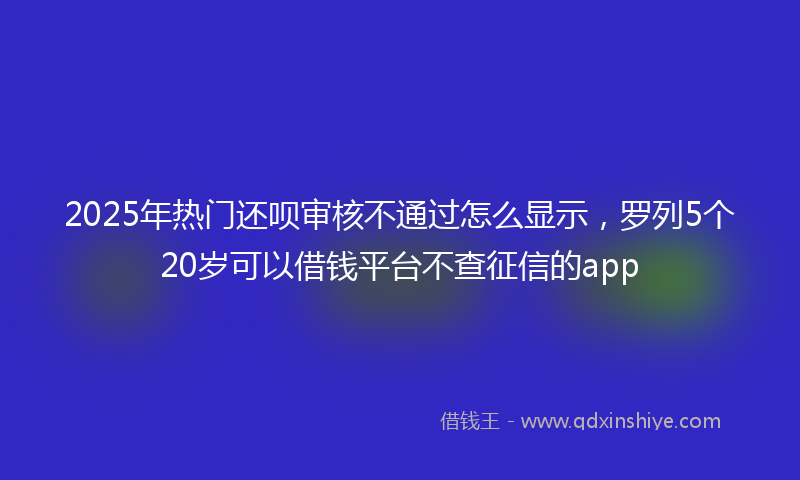 2025年热门还呗审核不通过怎么显示，罗列5个20岁可以借钱平台不查征信的app