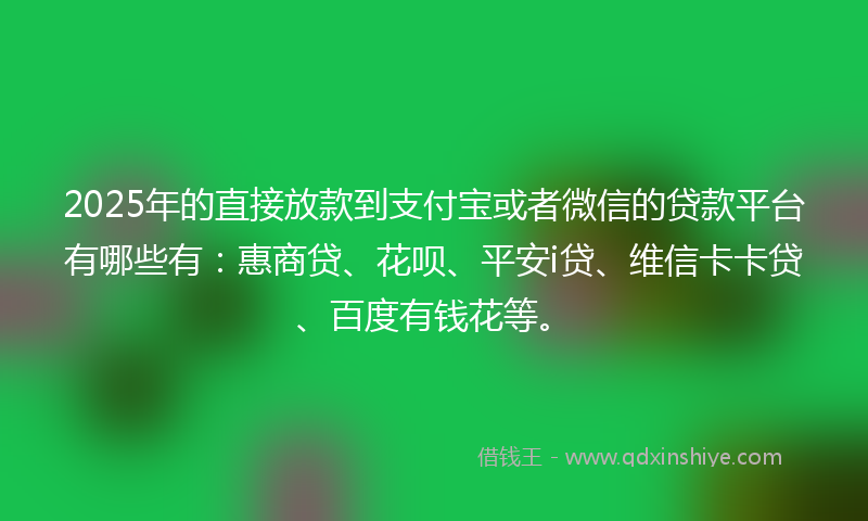 2025年的直接放款到支付宝或者微信的贷款平台有哪些有：惠商贷、花呗、平安i贷、维信卡卡贷、百度有钱花等。