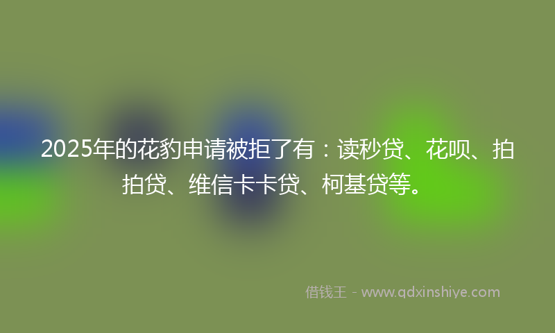 2025年的花豹申请被拒了有：读秒贷、花呗、拍拍贷、维信卡卡贷、柯基贷等。