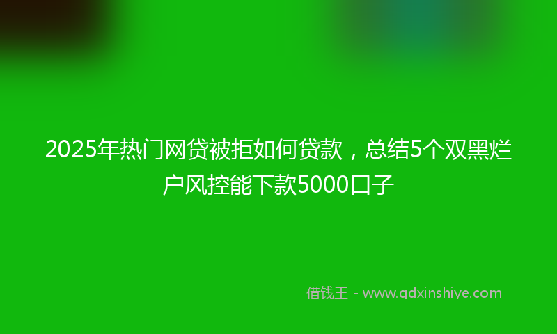 2025年热门网贷被拒如何贷款，总结5个双黑烂户风控能下款5000口子