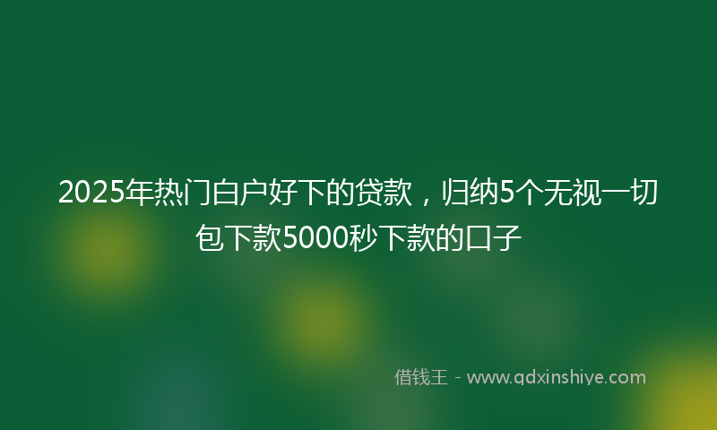 2025年热门白户好下的贷款，归纳5个无视一切包下款5000秒下款的口子