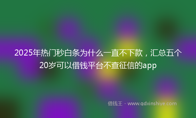 2025年热门秒白条为什么一直不下款，汇总五个20岁可以借钱平台不查征信的app