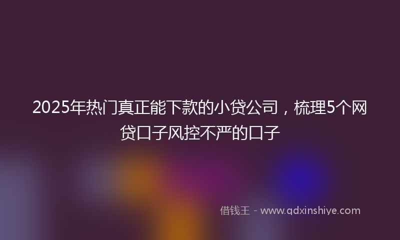 2025年热门真正能下款的小贷公司，梳理5个网贷口子风控不严的口子