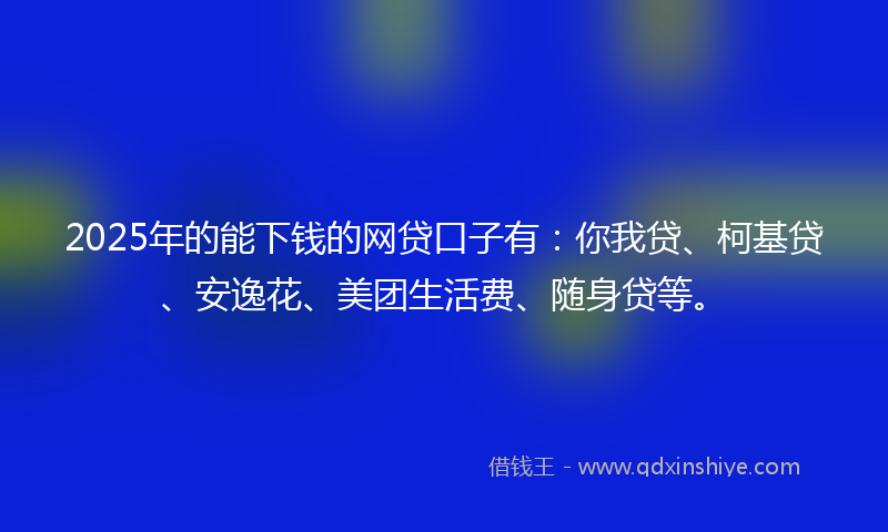 2025年的能下钱的网贷口子有：你我贷、柯基贷、安逸花、美团生活费、随身贷等。