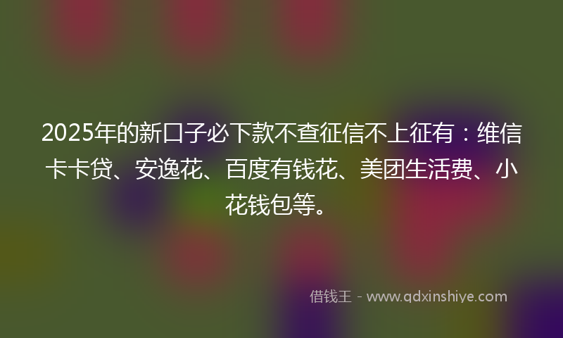 2025年的新口子必下款不查征信不上征有：维信卡卡贷、安逸花、百度有钱花、美团生活费、小花钱包等。