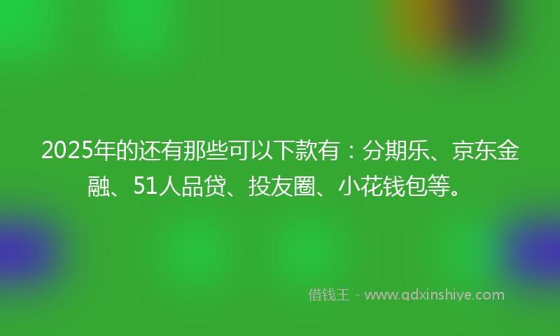 2025年的还有那些可以下款有：分期乐、京东金融、51人品贷、投友圈、小花钱包等。