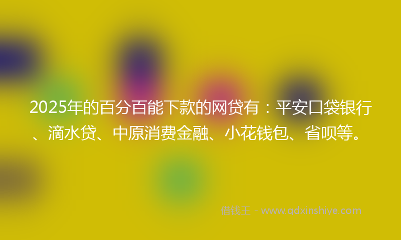 2025年的百分百能下款的网贷有：平安口袋银行、滴水贷、中原消费金融、小花钱包、省呗等。