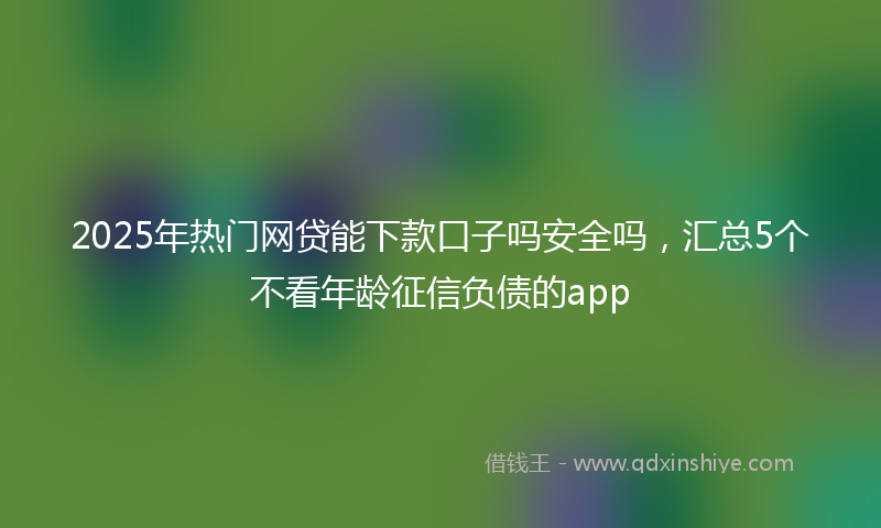 2025年热门网贷能下款口子吗安全吗，汇总5个不看年龄征信负债的app