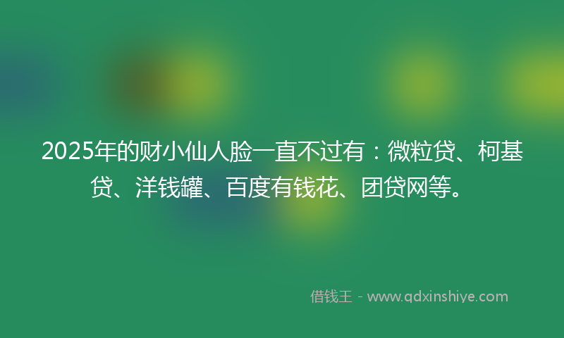 2025年的财小仙人脸一直不过有：微粒贷、柯基贷、洋钱罐、百度有钱花、团贷网等。