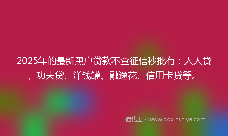 2025年的最新黑户贷款不查征信秒批有：人人贷、功夫贷、洋钱罐、融逸花、信用卡贷等。