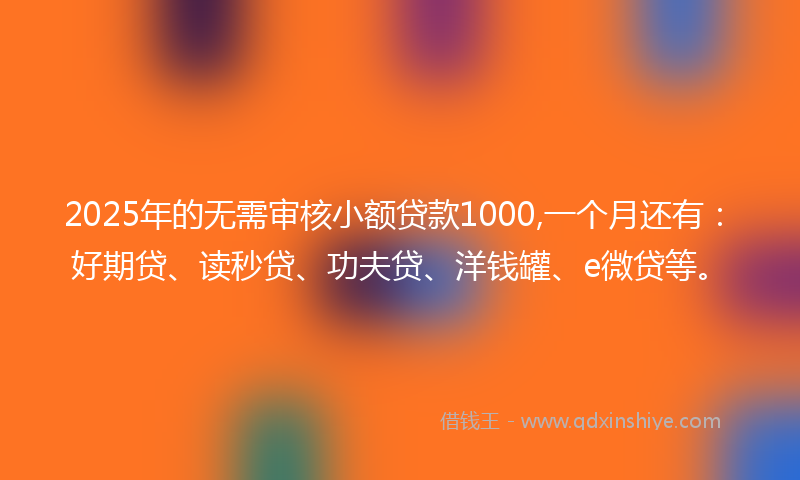 2025年的无需审核小额贷款1000,一个月还有：好期贷、读秒贷、功夫贷、洋钱罐、e微贷等。