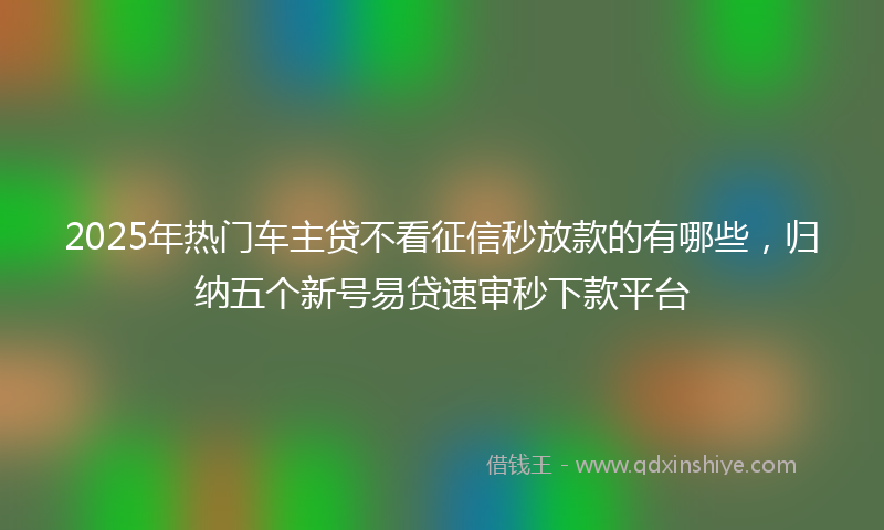 2025年热门车主贷不看征信秒放款的有哪些，归纳五个新号易贷速审秒下款平台