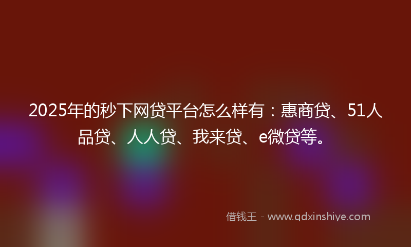 2025年的秒下网贷平台怎么样有：惠商贷、51人品贷、人人贷、我来贷、e微贷等。