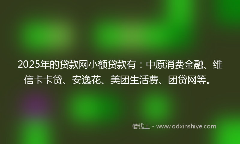 2025年的贷款网小额贷款有：中原消费金融、维信卡卡贷、安逸花、美团生活费、团贷网等。