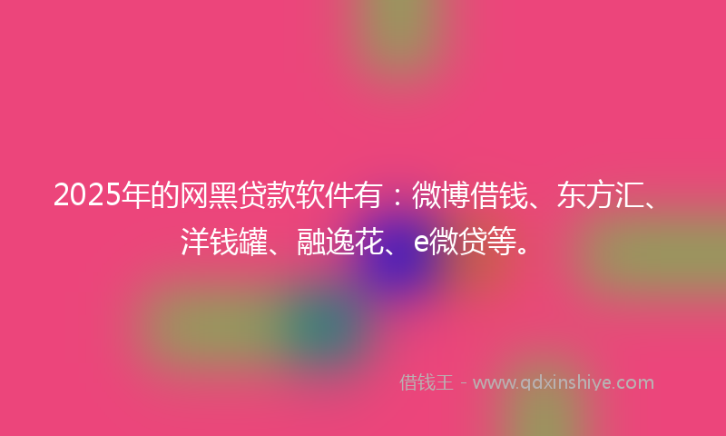 2025年的网黑贷款软件有：微博借钱、东方汇、洋钱罐、融逸花、e微贷等。