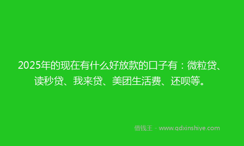 2025年的现在有什么好放款的口子有：微粒贷、读秒贷、我来贷、美团生活费、还呗等。