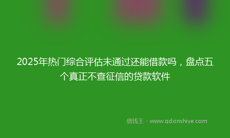 2025年热门综合评估未通过还能借款吗，盘点五个真正不查征信的贷款软件