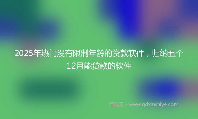 2025年热门没有限制年龄的贷款软件，归纳五个12月能贷款的软件