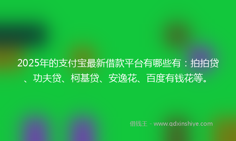 2025年的支付宝最新借款平台有哪些有：拍拍贷、功夫贷、柯基贷、安逸花、百度有钱花等。
