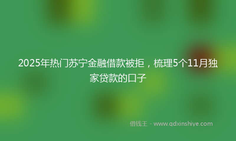 2025年热门苏宁金融借款被拒，梳理5个11月独家贷款的口子