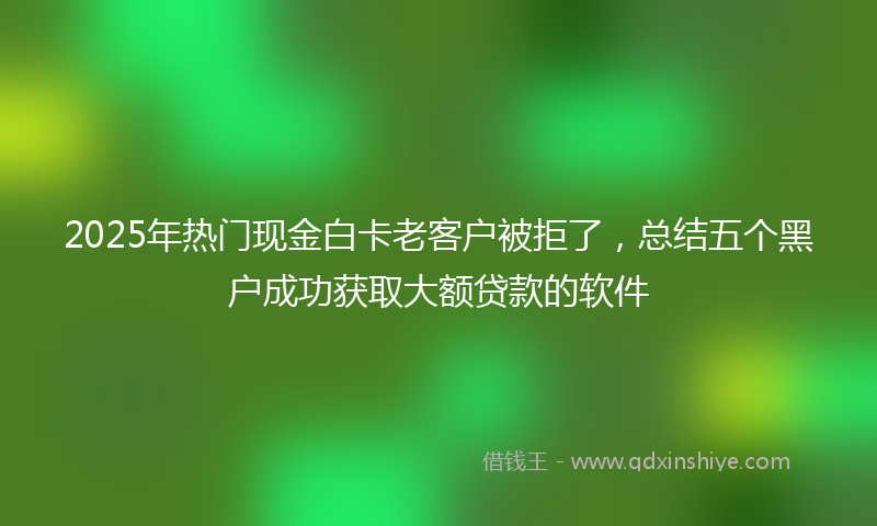 2025年热门现金白卡老客户被拒了，总结五个黑户成功获取大额贷款的软件