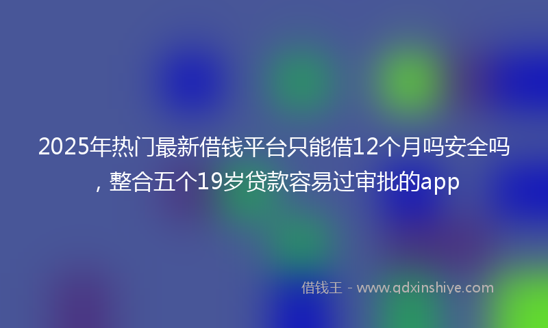2025年热门最新借钱平台只能借12个月吗安全吗，整合五个19岁贷款容易过审批的app